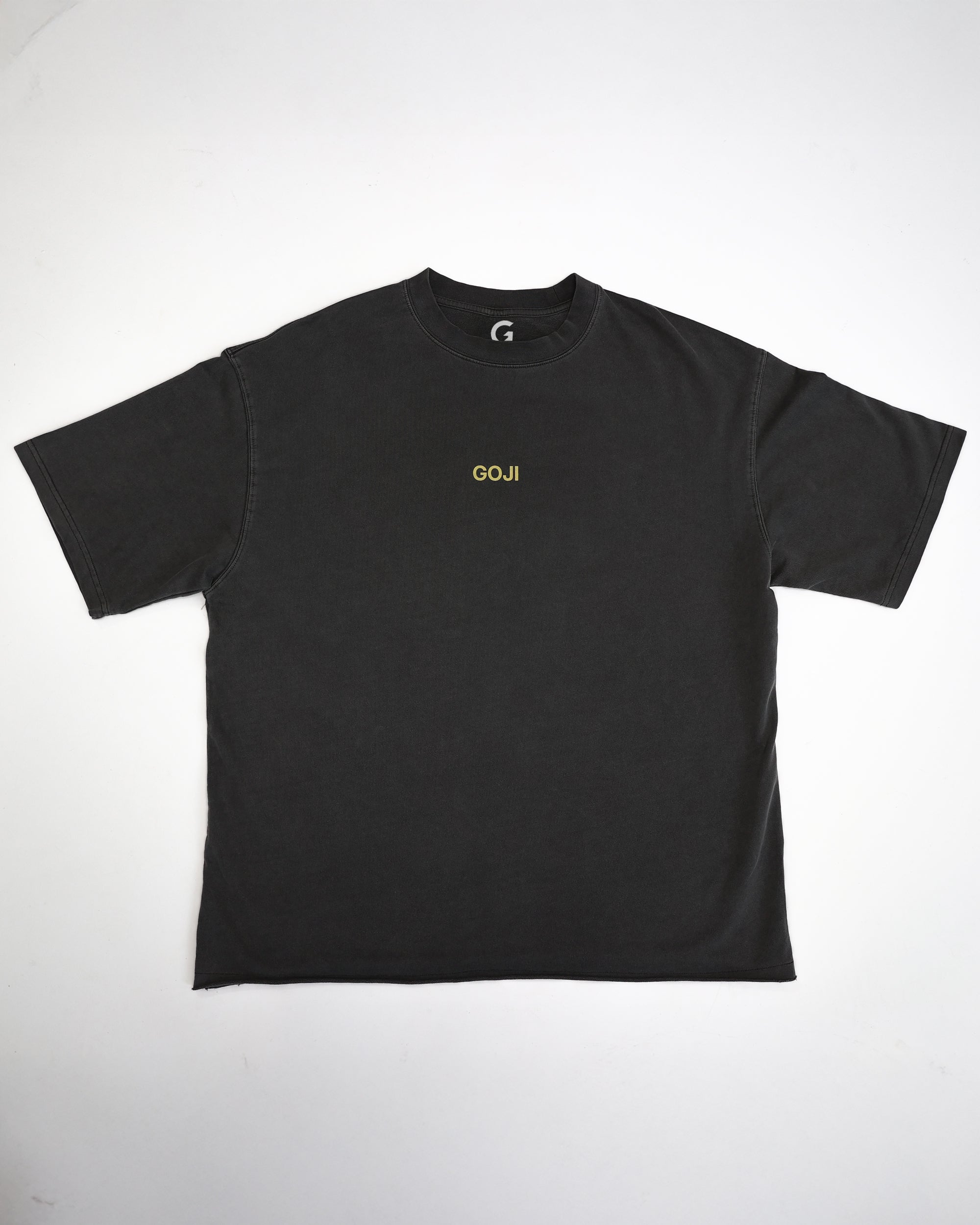 GENESIS STATUE T-SHIRT