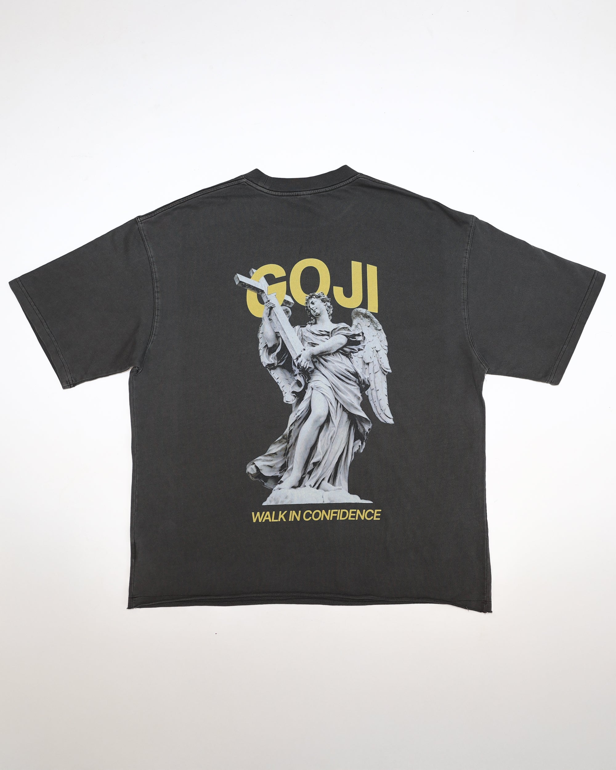 GENESIS STATUE T-SHIRT