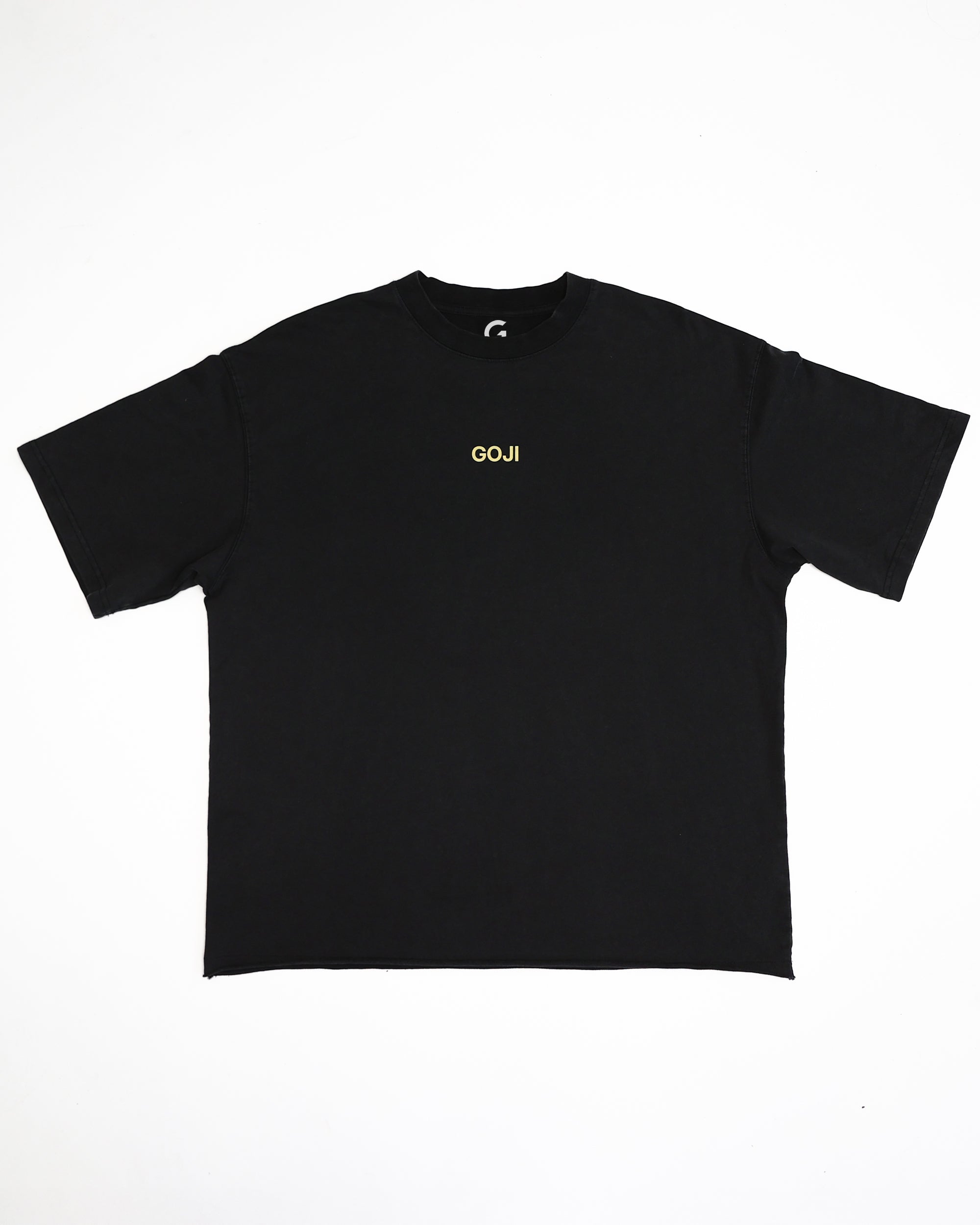 GENESIS STATUE T-SHIRT